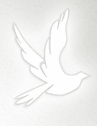 Mary Williams Obituary